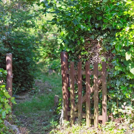 Cosy House Near Forest And Coast